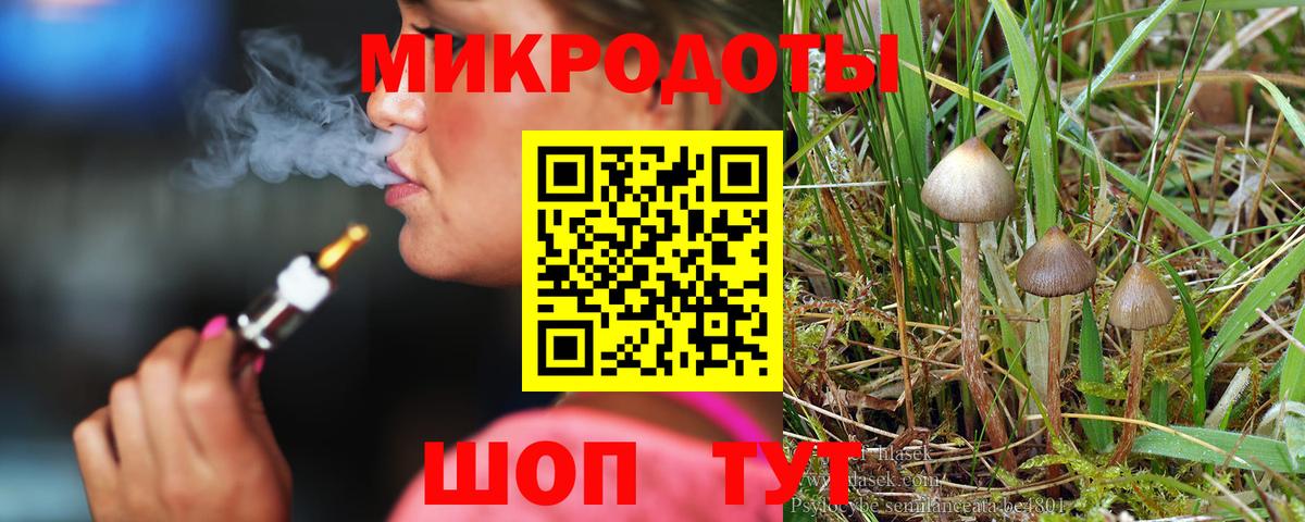 Псилоцибиновые грибы ЛСД  Вход с VPN  Псилоцибиновые грибы Psilocybe  Рузаевка 